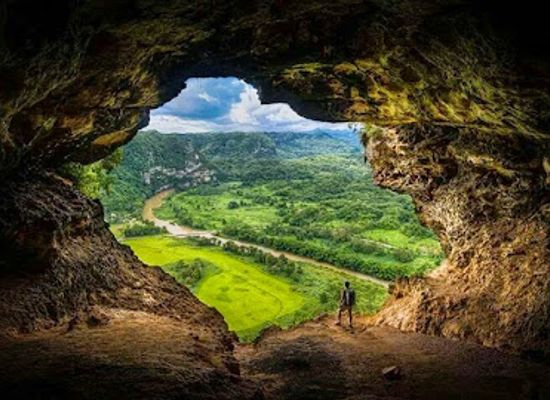 puerto-rico/arecibo-region/attraction/bosque-estatal-de-rio-abajo