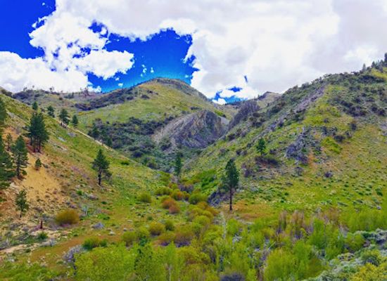 nevada/reno/attraction/hunter-creek-trailhead