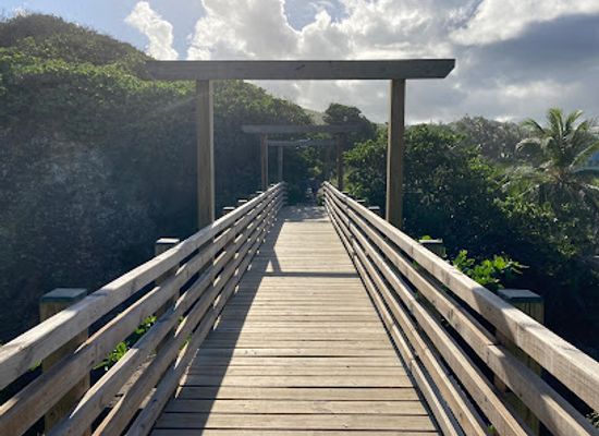 barbados/saint-philip/attraction/joes-river-bridge