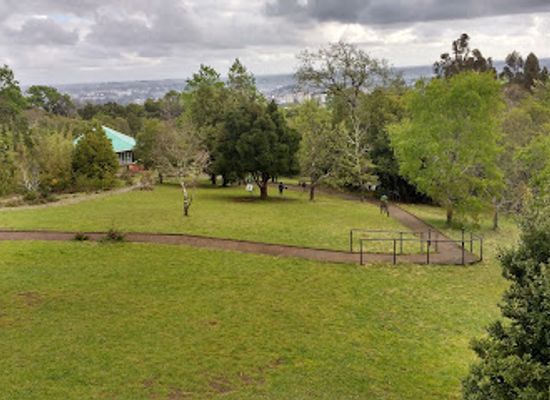 chile/temuco/attraction/cerro-nielol