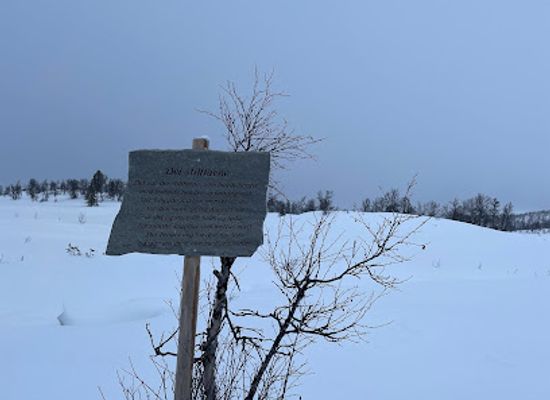 norway/buskerud/attraction/torsrunden