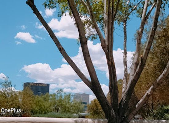 texas/el-paso/westside/attraction/magoffin-home-state-historic-site