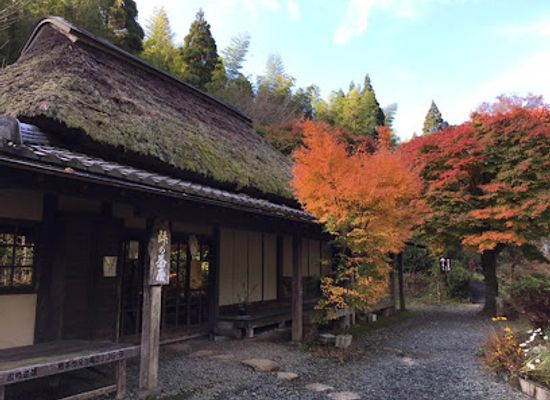 japan/kyushu/attraction/togenochaya-park-museum