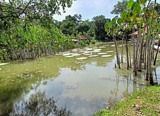 peru/amazon-jungle/attraction/amazon-river-peru