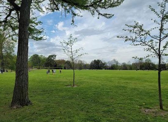 tennessee/germantown/attraction/overton-park