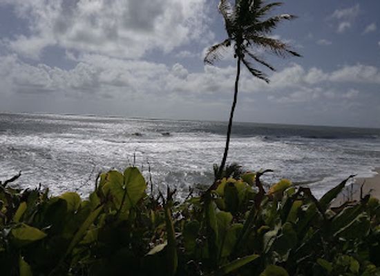 trinidad-and-tobago/toco-lighthouse/attraction/matura-turtle-watching-site