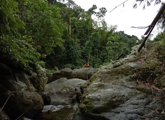 philippines/cebu/attraction/dakit-falls
