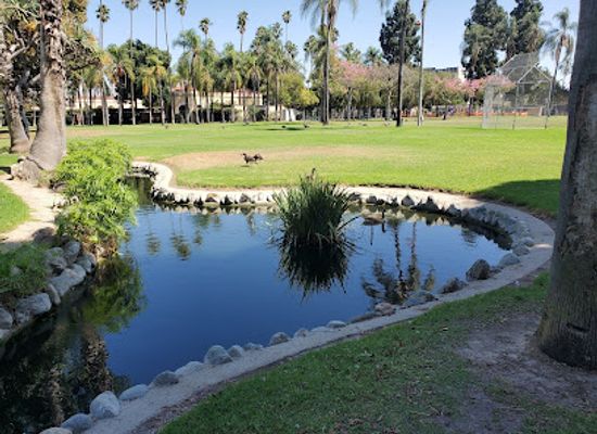 california/anaheim/attraction/pearson-park