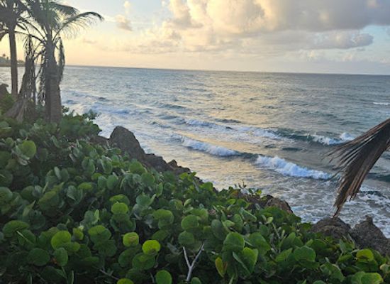puerto-rico/arecibo/attraction/arecibo-promenade