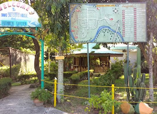 philippines/davao/attraction/davao-butterfly-house-inc