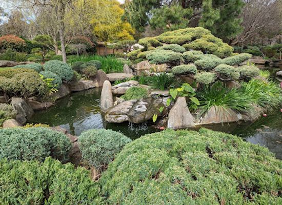 australia/south-australia/attraction/adelaide-himeji-garden