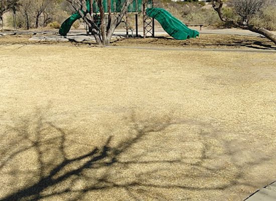 new-mexico/las-cruces/attraction/tellbrook-park