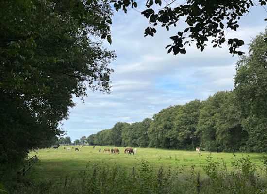 netherlands/gooi/attraction/de-korte-duinen