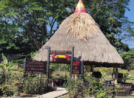 belize/vaca-plateau/attraction/hot-mama-s-belize