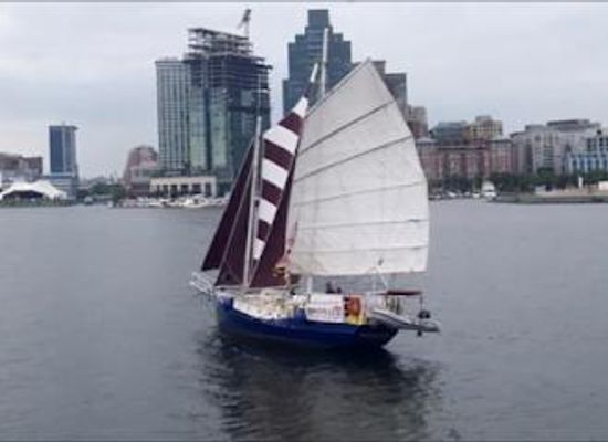 maryland/baltimore-metropolitan-area/attraction/american-sailing-tours