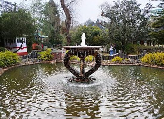 india/shillong/attraction/lady-hydari-park