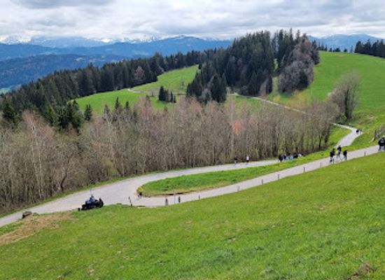 austria/bregenzerwald/attraction/alpenwildpark-pfander