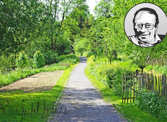germany/sauerland/attraction/reinhold-hesse-weg