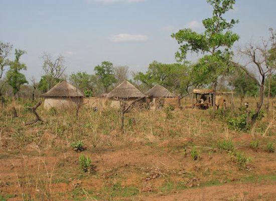 ghana/northern-region/attraction/mole-national-park