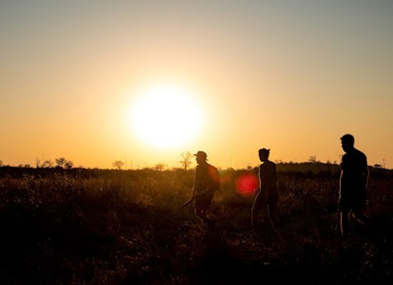zimbabwe/hwange-national-park/attraction/inzila-mobile-safaris