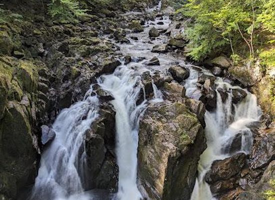 united-kingdom/dundee/attraction/the-hermitage