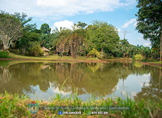 cameroon/yaounde/attraction/village-madiba