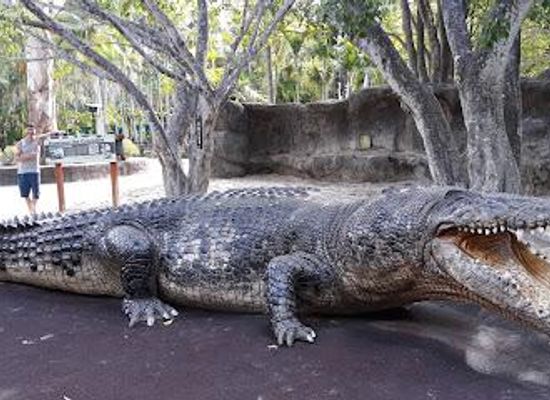 australia/sunshine-coast/attraction/australia-zoo