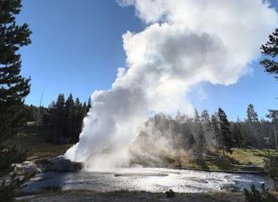 montana/yellowstone-national-park/attraction/riverside-geyser