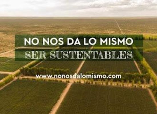 argentina/cuyo/attraction/bodega-santa-julia-zuccardi