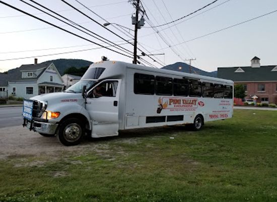 new-hampshire/white-mountains/attraction/pemi-valley-moose-tours