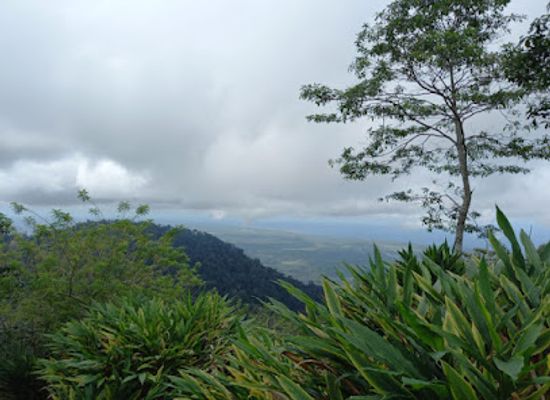 honduras/cusuco-national-park/attraction/mirador-san-martin
