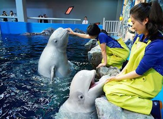 south-korea/suncheon/attraction/aqua-planet-yeosu