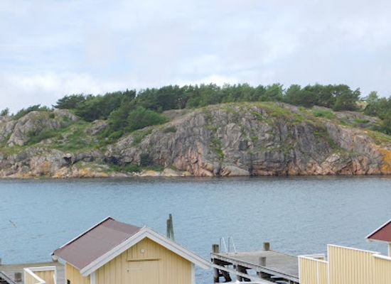 sweden/bohuslan/attraction/rock-carvings-in-tanum