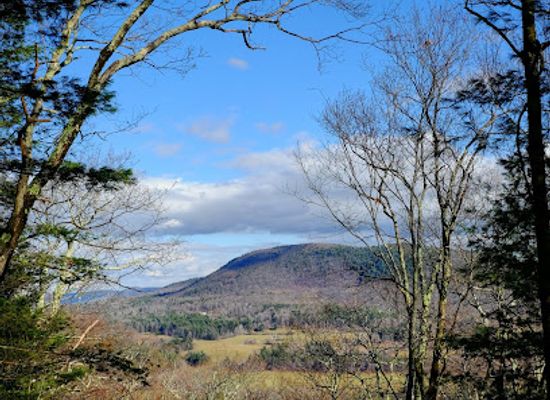 massachusetts/berkshires/attraction/alford-springs-reserve