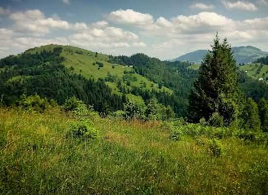 ukraine/hoverla-mountain/attraction/muzey-muzychnykh-instrumentiv-romana-kumlyka