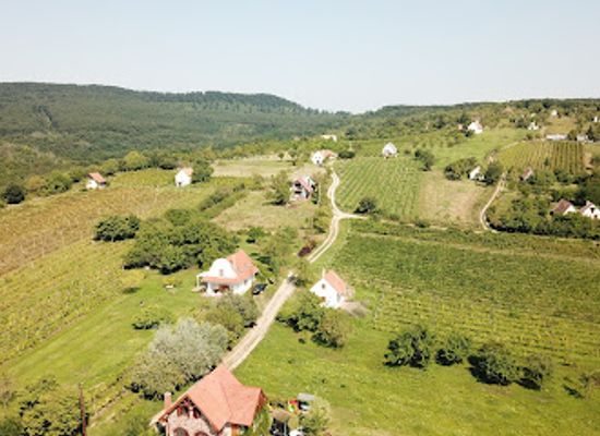 hungary/bakony/attraction/sea-of-stones-szentbekkalla