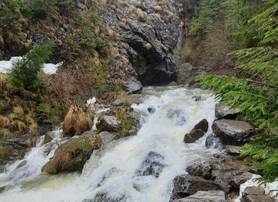 romania/bihor/attraction/izbucul-ponor