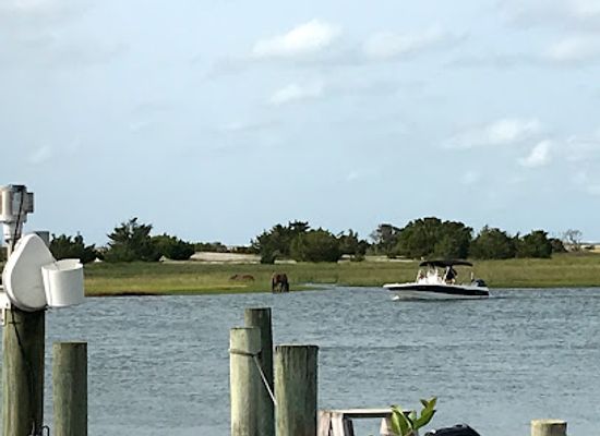 north-carolina/crystal-coast/attraction/rachel-carson-reserve