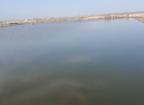 egypt/damietta/attraction/buhayrat-al-manzalah
