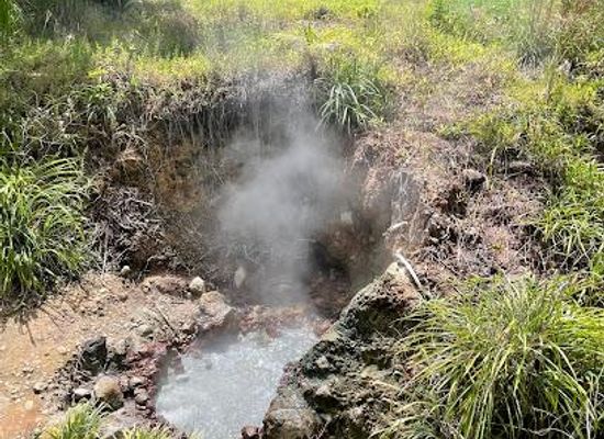 dominica/saint-george/attraction/sulfur-springs