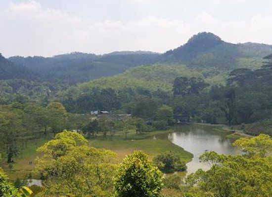 sri-lanka/colombo/attraction/seethawaka-wet-zone-botanical-gardens