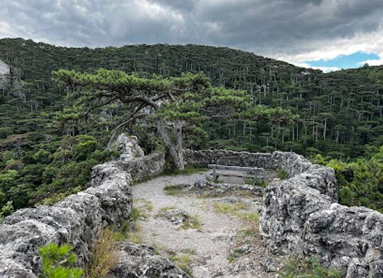 austria/lower-austria/attraction/jordankanzel