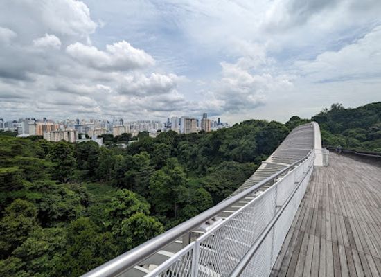 singapore/southern-ridges/attraction/terrace-garden