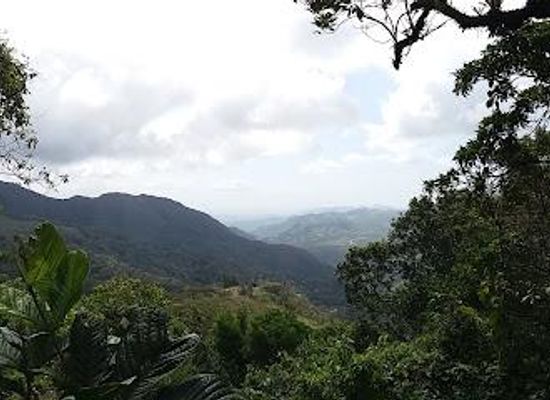 panama/atlantic-coast/attraction/entrance-station-for-parque-nacional-omar-torrijos