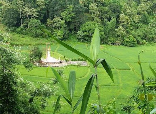 thailand/phi-pan-nam-range/attraction/doi-hang