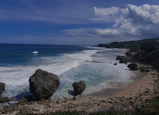 barbados/south-coast/attraction/joe-s-river