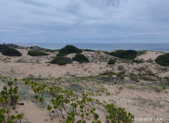 mozambique/inhaca-island/attraction/turtle-beach