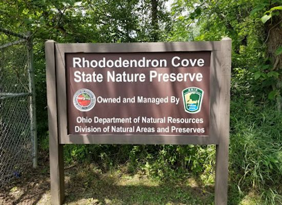 ohio/southeast-ohio/attraction/rhododendron-cove-state-nature-preserve