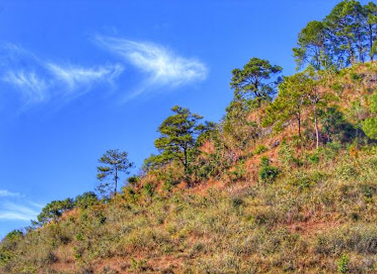 myanmar-burma/chin-hills/attraction/kalaw-town-market