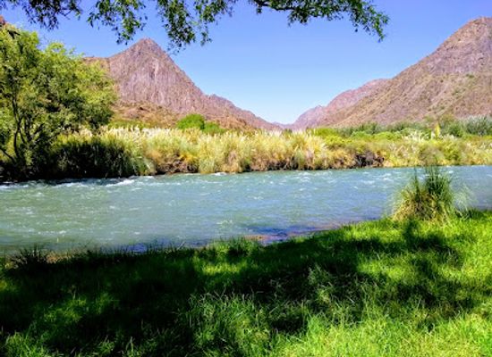 argentina/san-rafael/attraction/air-euca-forest